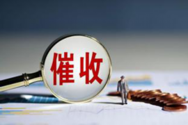 安陆安陆的要账公司在催收过程中的策略和技巧有哪些？